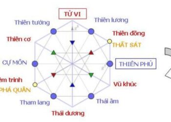 Tử vi chân cơ là một phần trong tử vi nói chung 