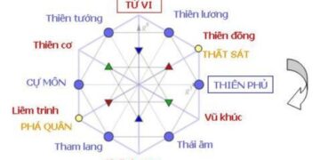 Tử vi chân cơ là một phần trong tử vi nói chung 