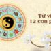Tử vi con giáp mang đến những thông tin luận giải thú vị