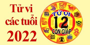 Từ tử vi nhìn ra vận mệnh của từng cung tuổi hay con giáp