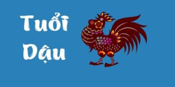 Người sinh năm Dậu hợp với màu nào?