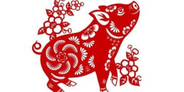 Họ thích những sự trải nghiệm và mới mẻ