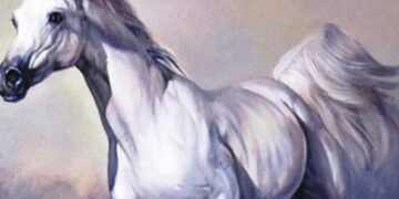 Tử vi người tuổi Ngọ