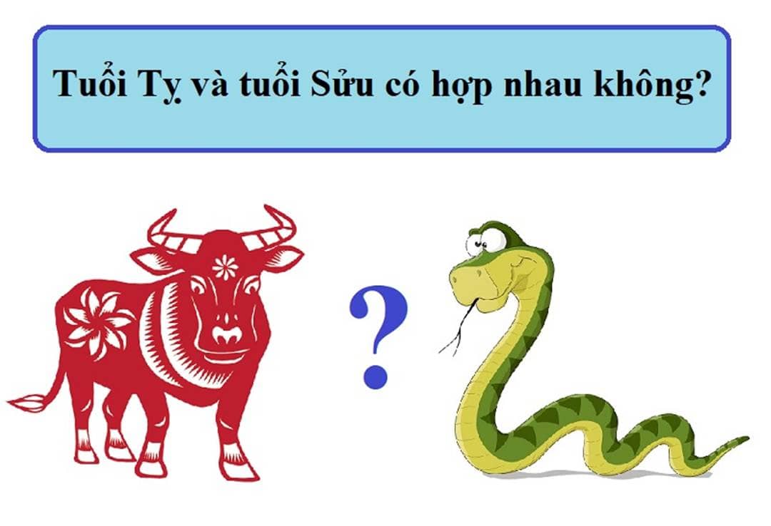 Sửu và Tỵ không nên hợp tác làm ăn