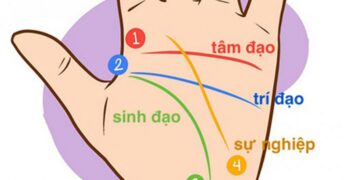 Xem chỉ tay đoán vận mệnh