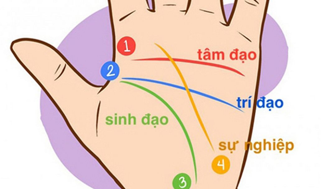 Xem chỉ tay đoán vận mệnh