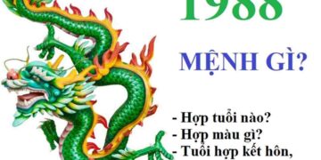“1988 mệnh gì?” là từ khóa được tìm kiếm nhiều nhất