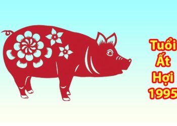 Khái quát về thông tin 1995 hợp màu gì