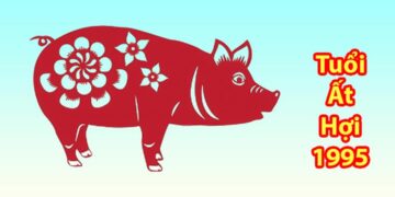 Khái quát về thông tin 1995 hợp màu gì