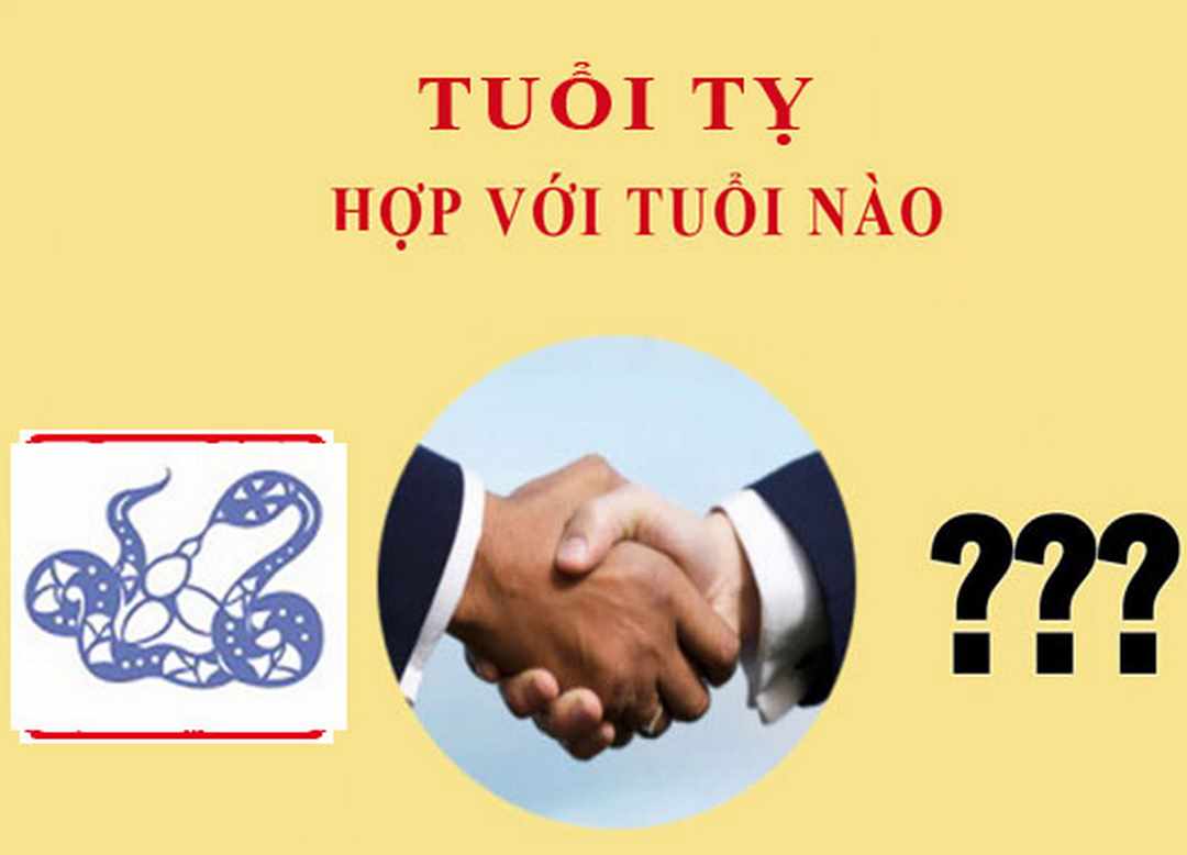 Tân Tỵ phù hợp với những con giáp nào nhất 