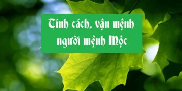 Nam giới mệnh Mộc có tính cách như thế nào?