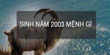 Mệnh mộc trả lời cho 2003 mệnh gì