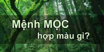 Tìm hiểu mệnh mộc hợp màu gì theo phong thủy 