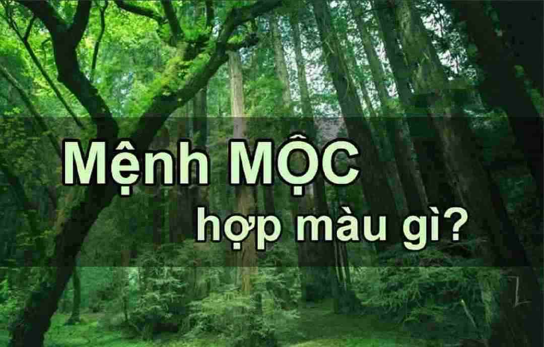 Tìm hiểu mệnh mộc hợp màu gì theo phong thủy 