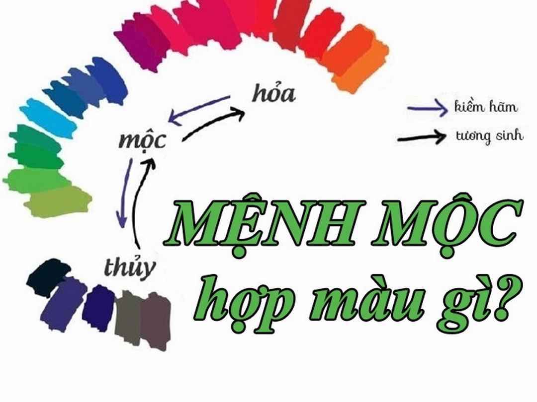 Mệnh mộc hợp màu gì qua tính kiềm hãm và tương sinh