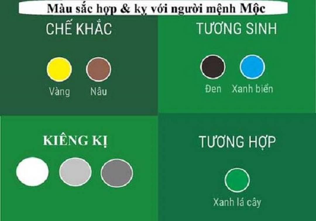 Bảng màu tương xung với mạng mộc