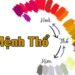 Bảng màu sắc tương sinh hợp mệnh Thổ