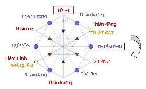 14 sao trong chính tinh