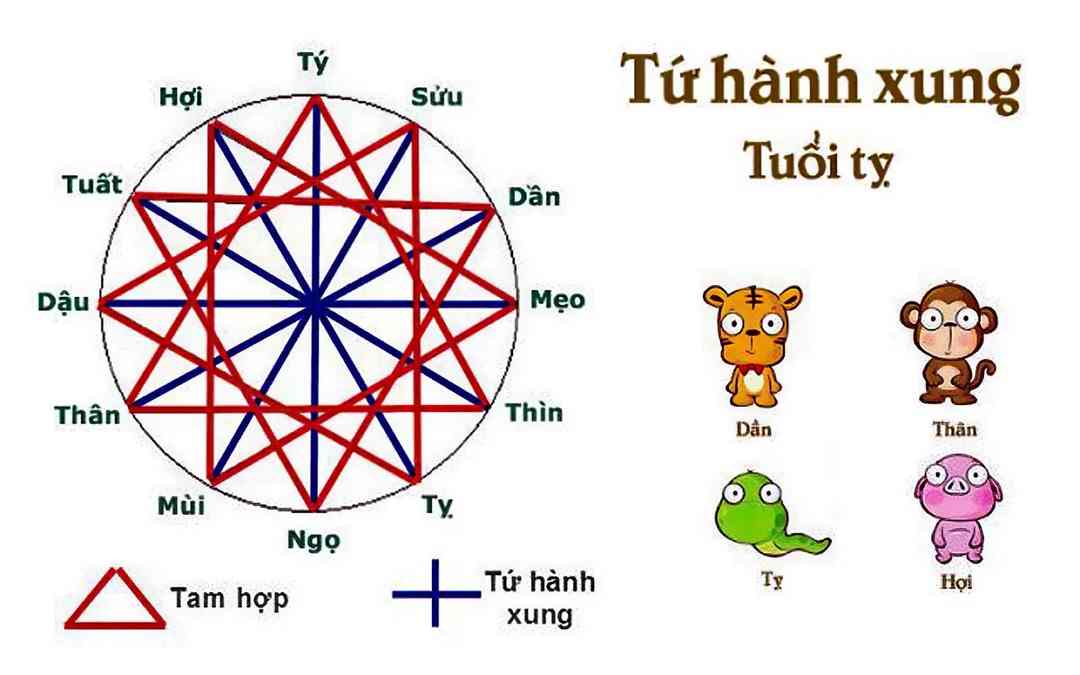 4 con giáp Dần, Thân, Tỵ, Hợi có xu hướng khắc khẩu và áp chế nhau