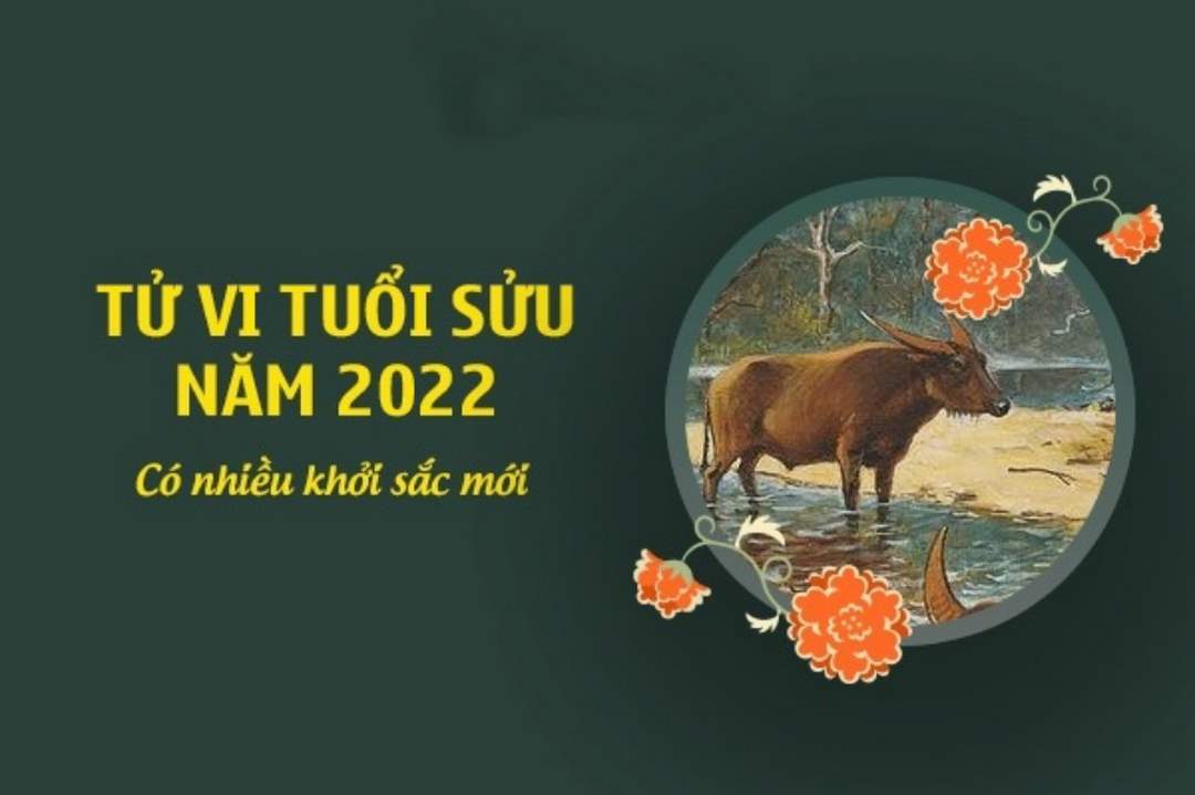 Luận giải tử vi 2022 tuổi Sửu chi tiết