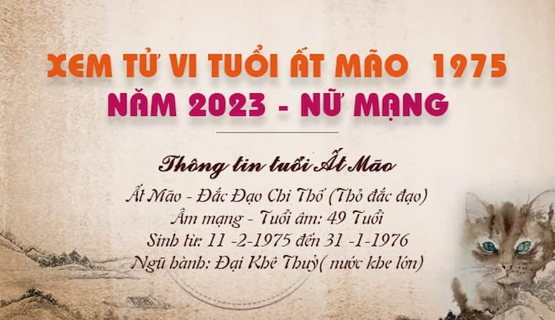 DIỄN TIẾN TỪNG NĂM: