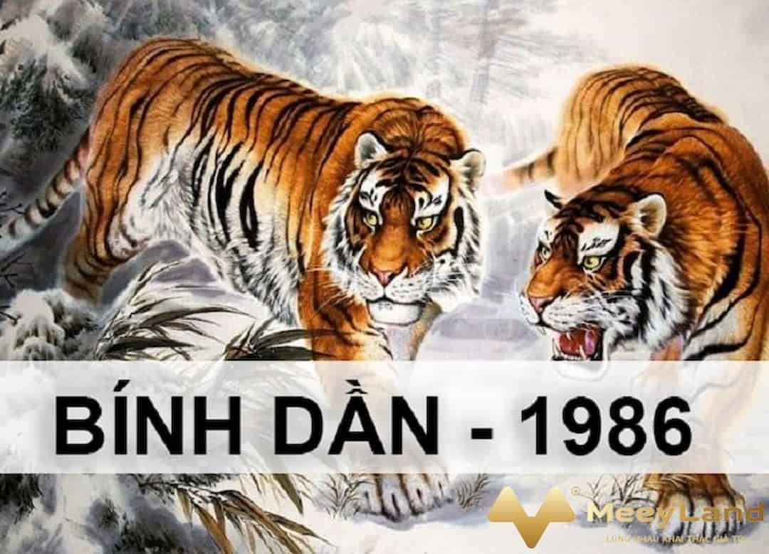 Tử vi tuổi Bính Dần 1986