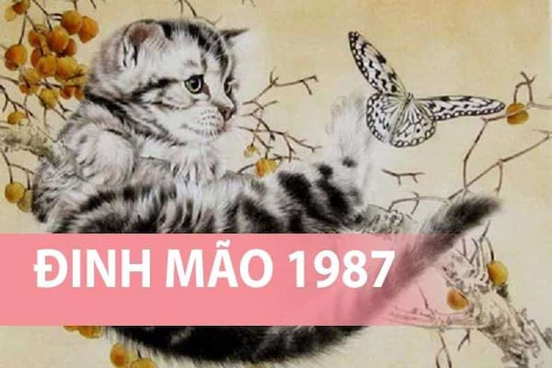 Tử vi tuổi Đinh Mão