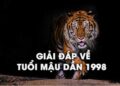 tử vi tuổi Mậu Dần 1998