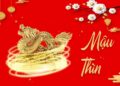 Bình giải tử vi tuổi Mậu Thìn 1988 trọn đời