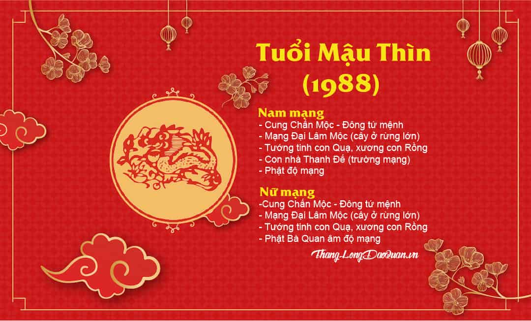 Tổng Quan Vận Mệnh Tuổi Mậu Thìn Sinh Năm 1988