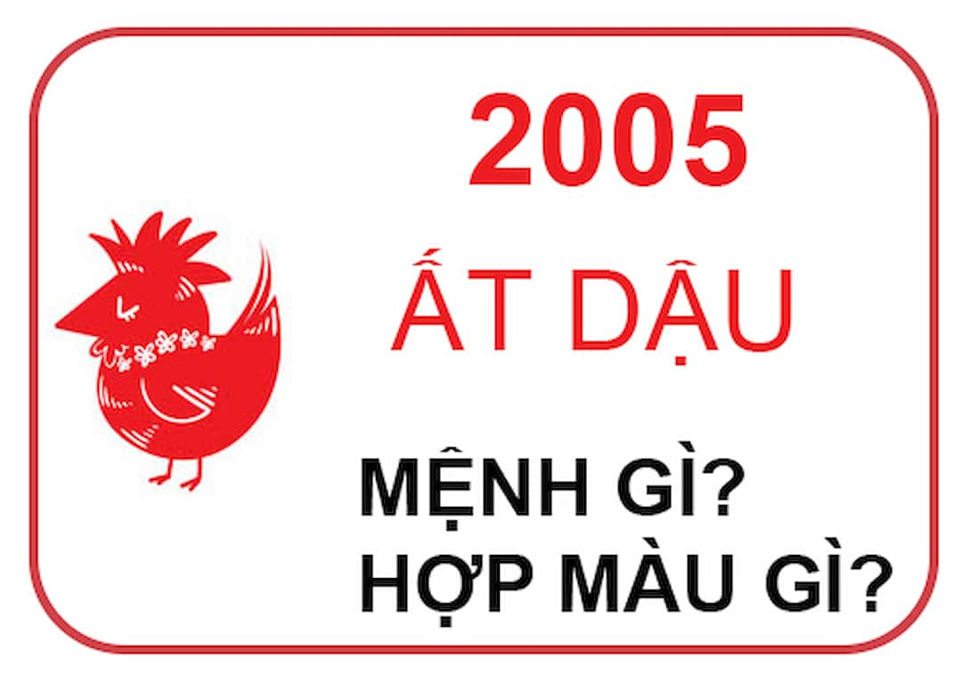 Những người sinh năm 2005 Ất Dậu hợp với màu gì?