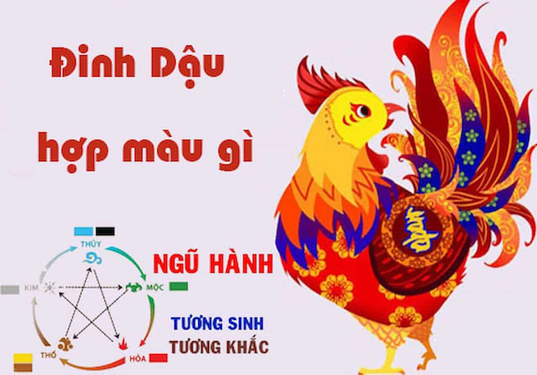 Tuổi Đinh Dậu hợp với hướng nào?