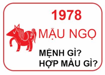 Tử vi tuổi Mậu Ngọ