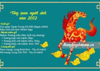 Tử vi tuổi Nhâm Ngọ