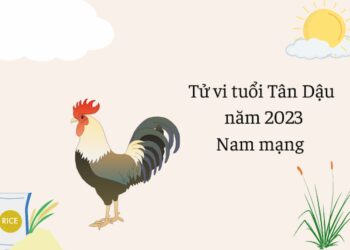Tử vi tuổi Tân Dậu 1981: Tổng quan về vận mệnh, tình yêu, sự nghiệp