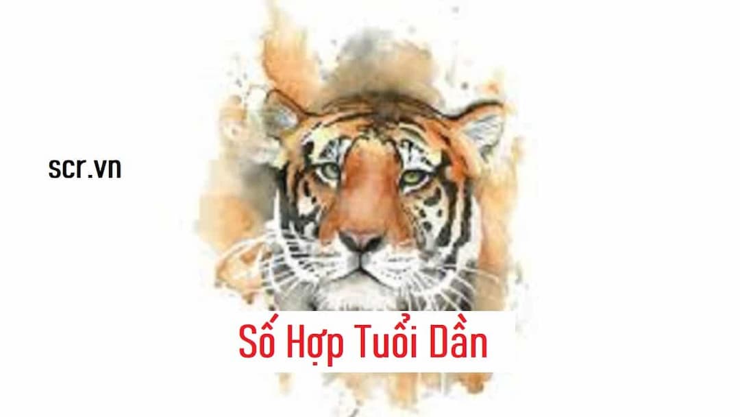 Ý nghĩa các số hợp tuổi: