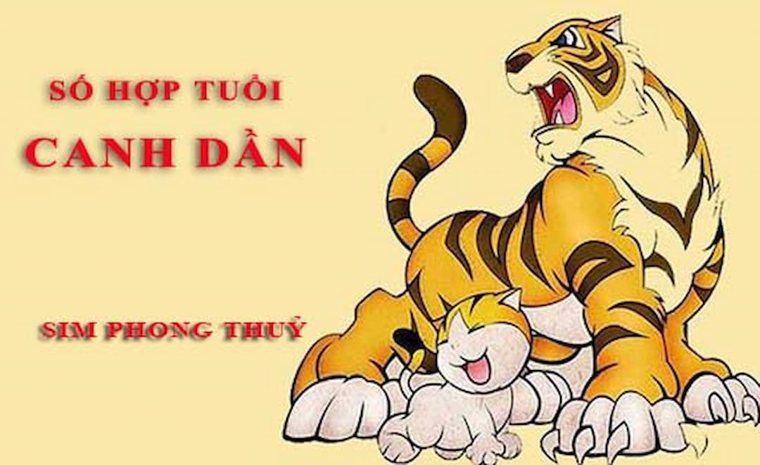 Tuổi Dần hợp với số nào theo phong thuỷ, tử vi - Hỏi đáp