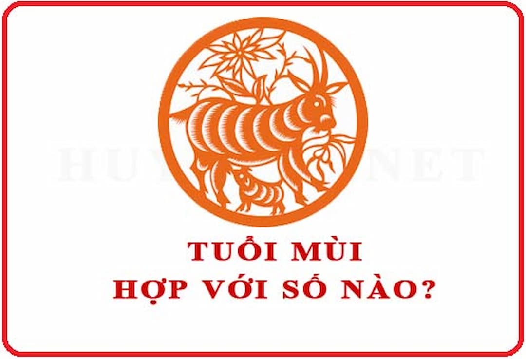 Ý nghĩa các số hợp tuổi: