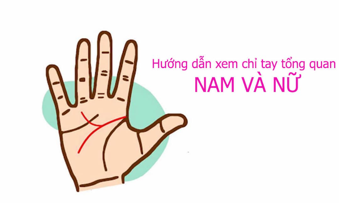 Xem đường chỉ tay nữ