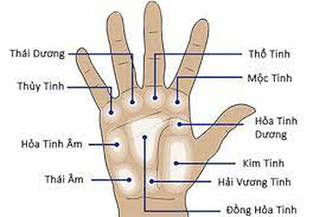 Cách để tìm hiểu về bí mật của ngón tay của bạn