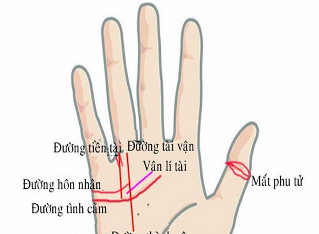 Xem đường tình duyên nam nữ