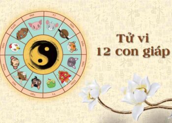 Tử vi con giáp mang đến những thông tin luận giải thú vị