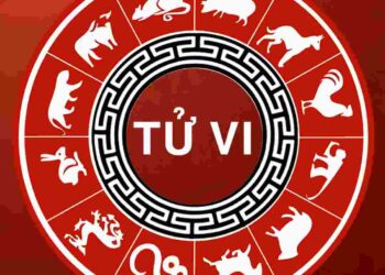 Tử vi hàng ngày luôn là một vấn đề khá được coi trọng hiện nay