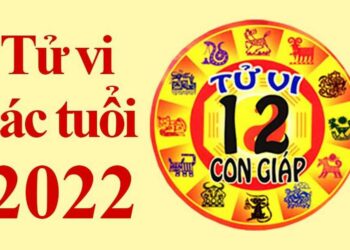 Từ tử vi nhìn ra vận mệnh của từng cung tuổi hay con giáp