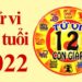 Từ tử vi nhìn ra vận mệnh của từng cung tuổi hay con giáp