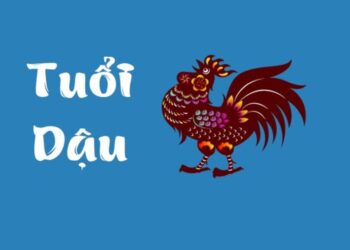 Người sinh năm Dậu hợp với màu nào?