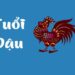 Người sinh năm Dậu hợp với màu nào?