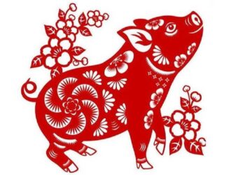 Họ thích những sự trải nghiệm và mới mẻ