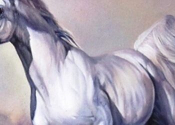 Tử vi người tuổi Ngọ