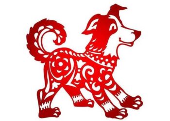 Họ rất tinh tế và thu hút